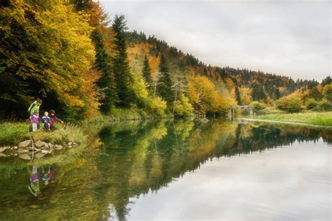 selva de irati verano|La Selva de Irati en verano: 5 lugares con encanto